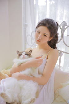 泰迪熊ted